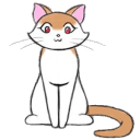 熊猫体育 · 曼城的欧战客场开局 主题配图